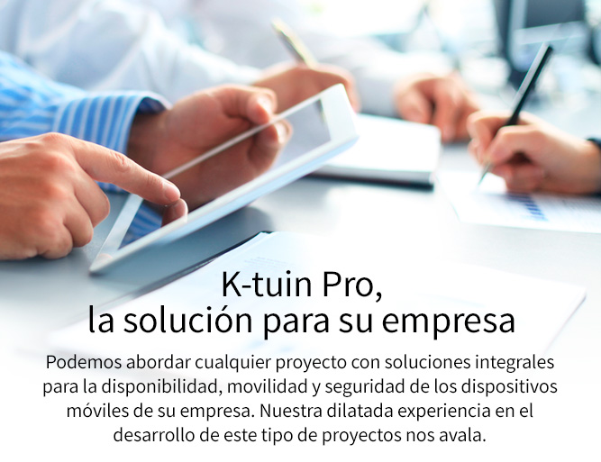 K-tuin Pro, la solución para el empresa
