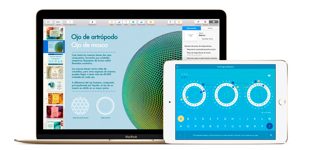 Descuentos Educativos, si eres profesor o etudiante ven a K-tuin y tenemos los mejores decuentos para ti Descuentos Educativos, si eres profesor o etudiante ven a K-tuin y tenemos los mejores decuentos para ti