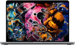 MacBook Pro con pantalla PROLED XDR, tapa abierta, color plata, la pantalla muestra una imagen detallada con un alto contraste y colores vivos