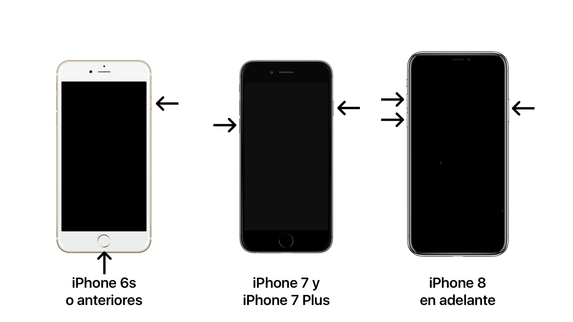 consumidor Alboroto cosa Tu iPhone tiene la pantalla negra? ¡Te ayudamos a solucionarlo! - Blog  K-tuin