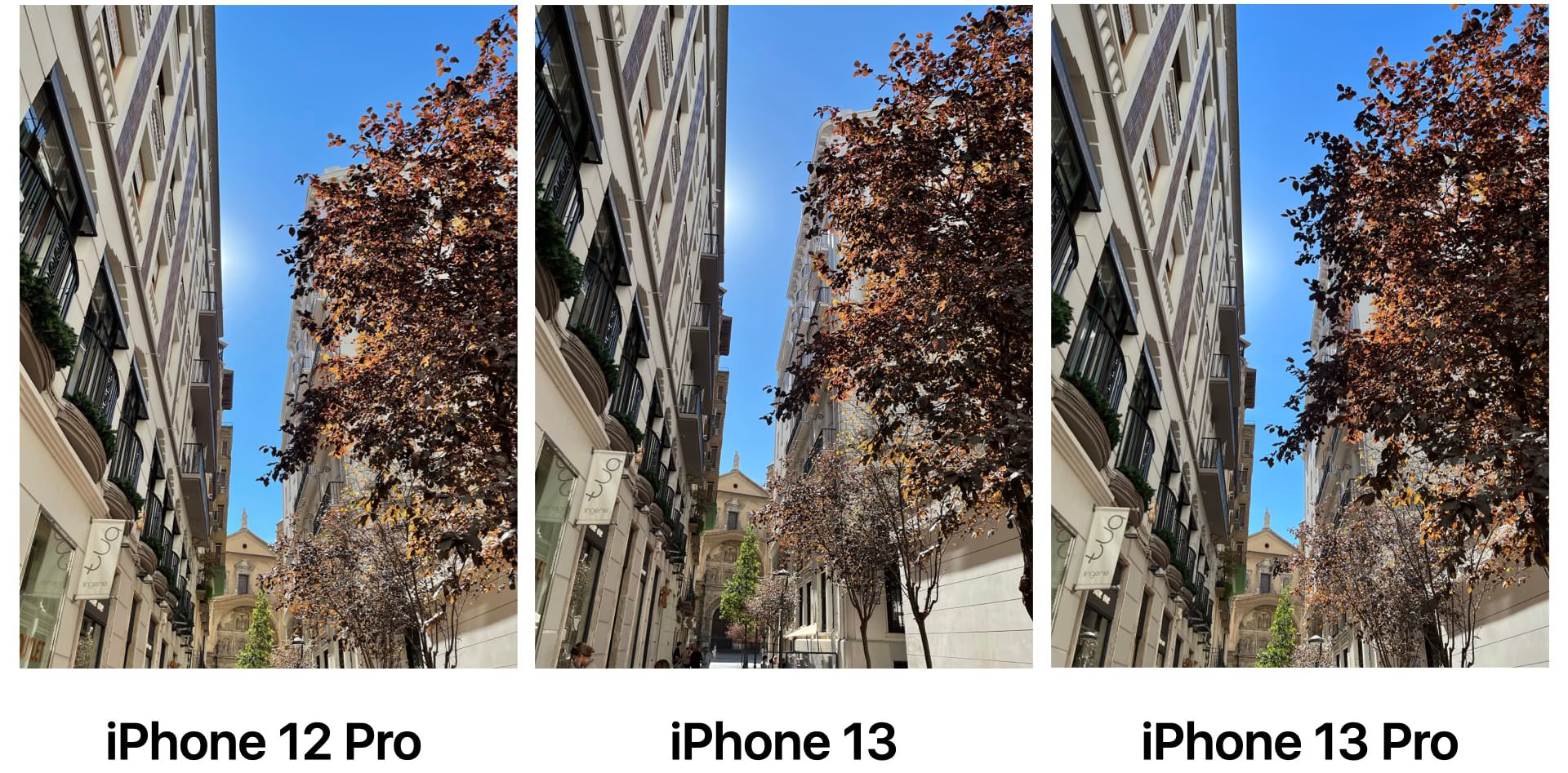 Comparación cámaras iPhone