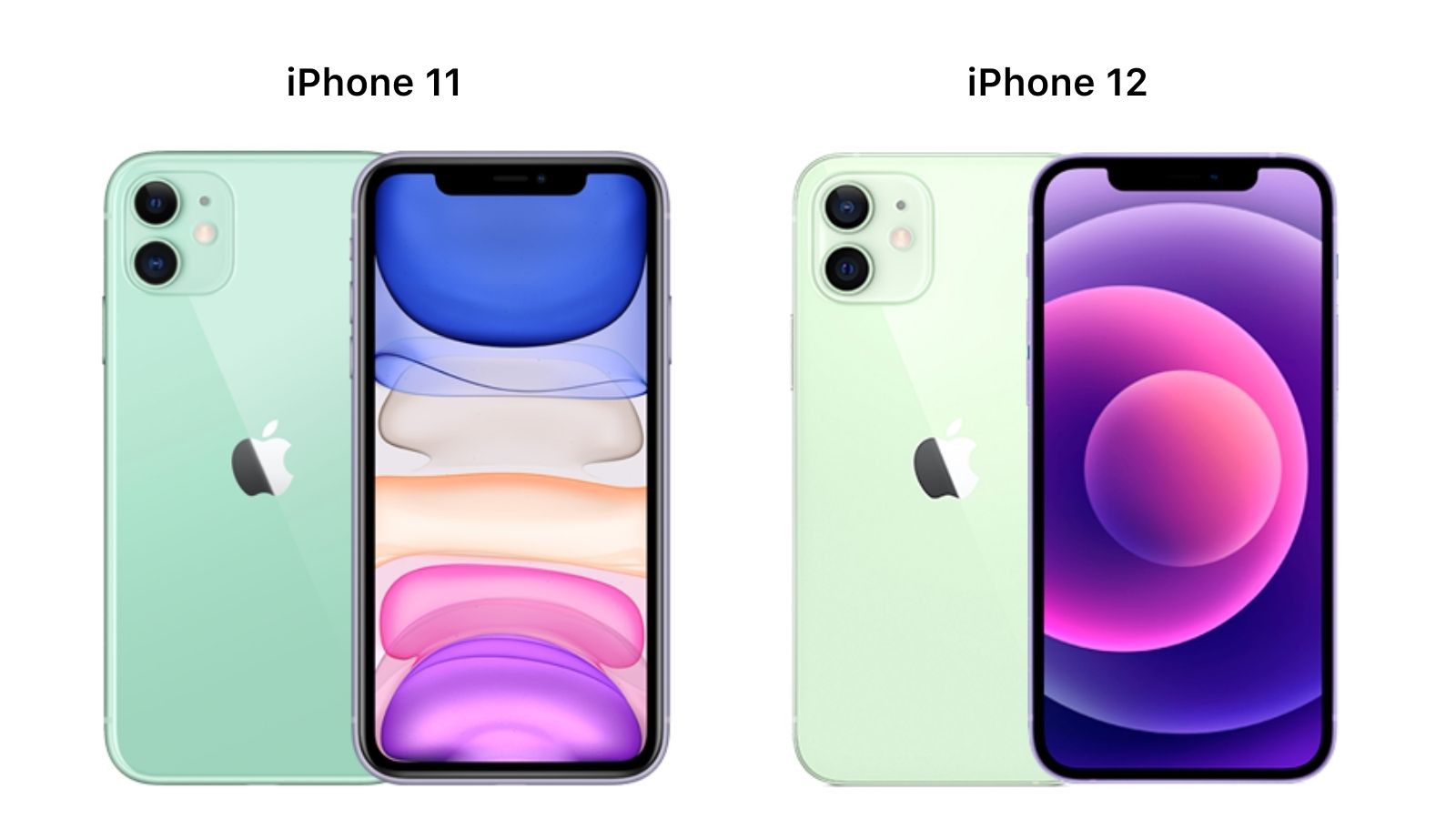 iPhone 12 o iPhone 11