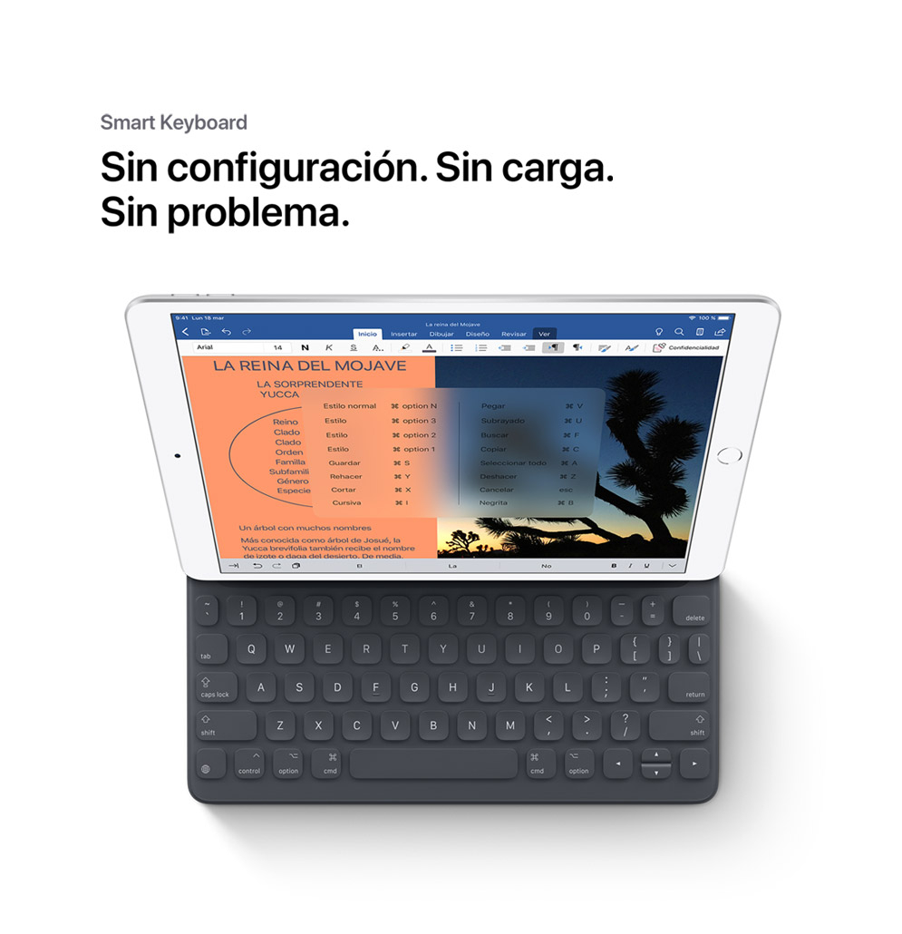 Compatibilidad Smart Keyboard con iPad Air tercera generación